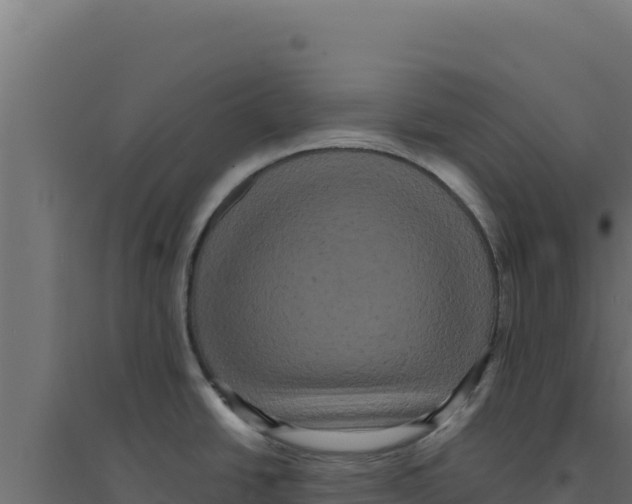 X0000094191438200711241605