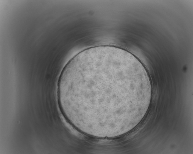 X0000094191439200711241605