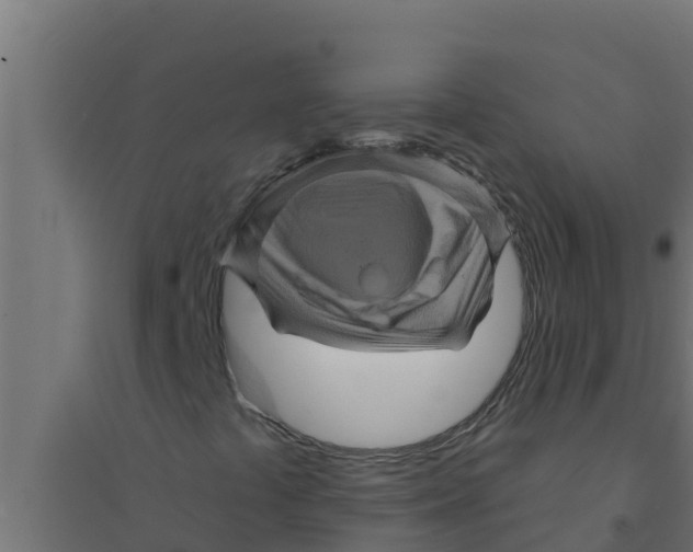 X0000094191441200711241605