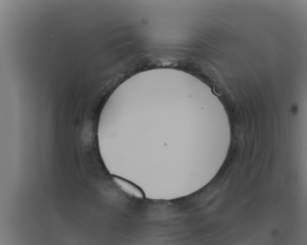 X0000094191442200711241605