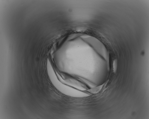 X0000094191443200711241605