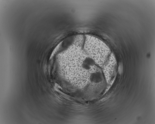 X0000094191444200711241605