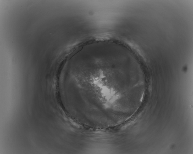 X0000094191445200711241605