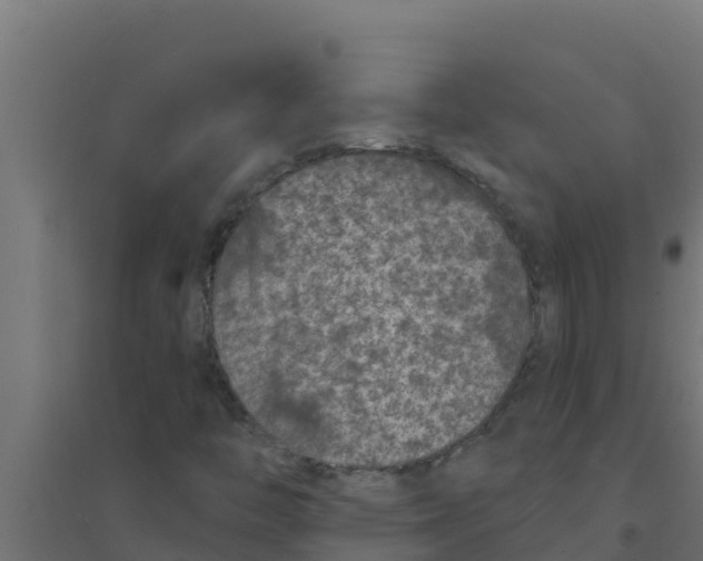 X0000094191446200711241605