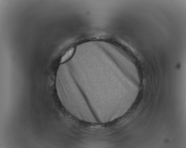 X0000094191447200711241605