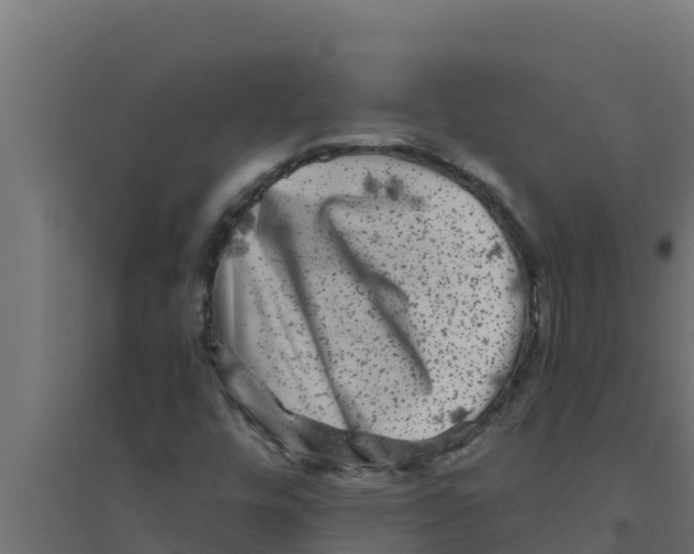 X0000094191448200711241605