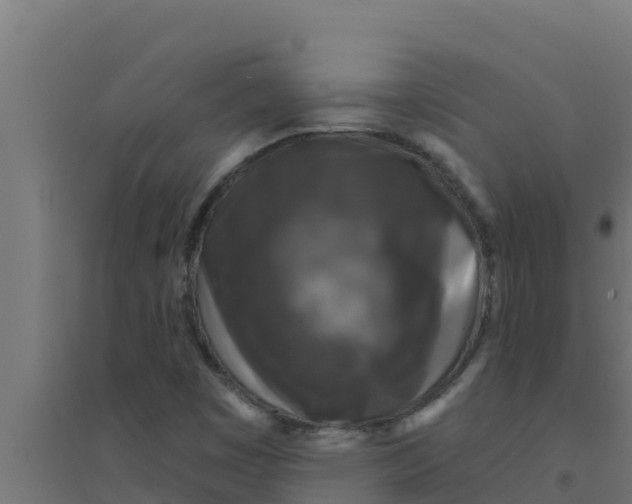 X0000094191449200711241605