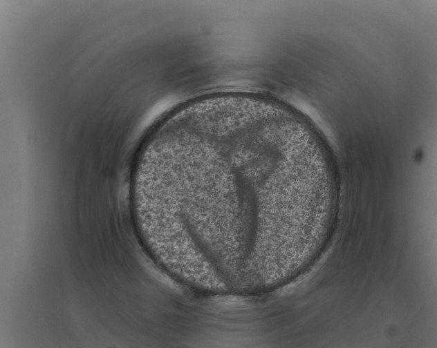 X0000094191450200711241605