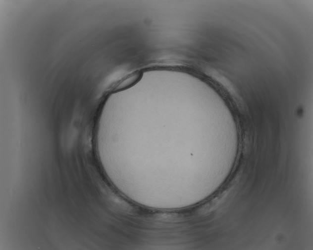 X0000094191451200711241605