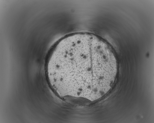 X0000094191452200711241605