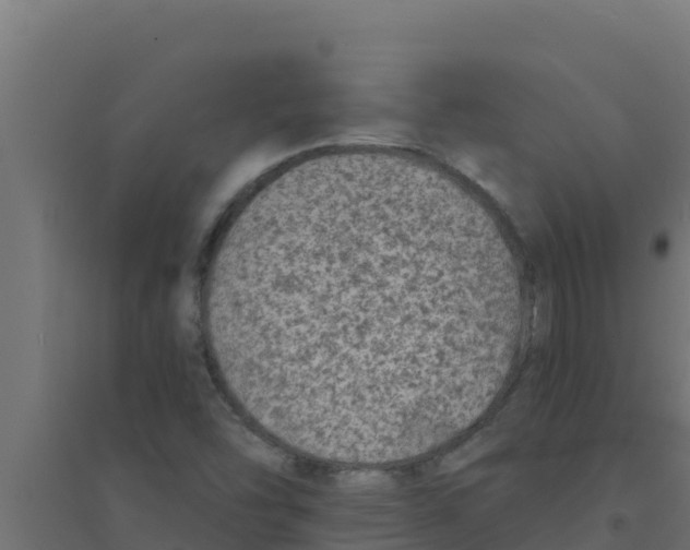 X0000094191454200711241605