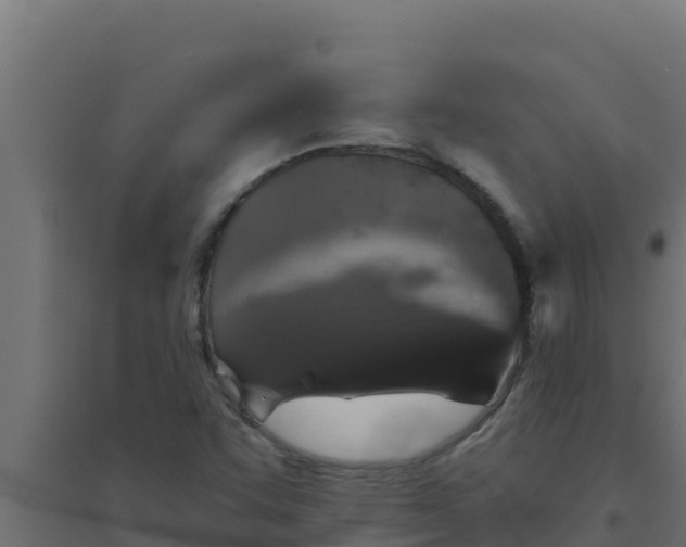 X0000094191455200711241605