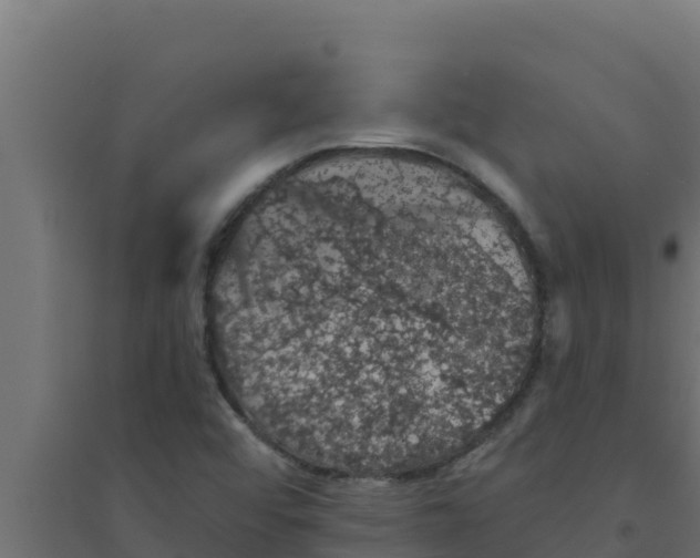 X0000094191456200711241605