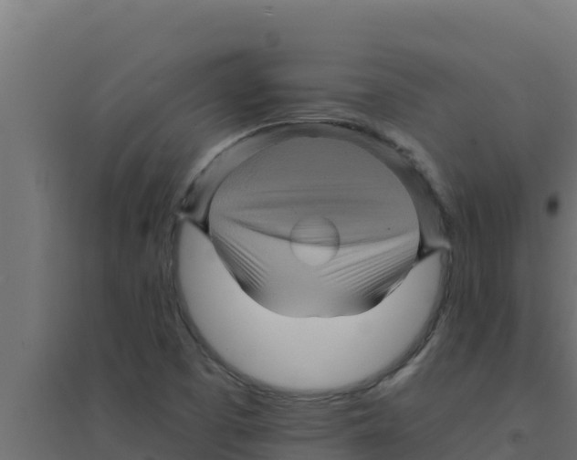 X0000094191457200711241605