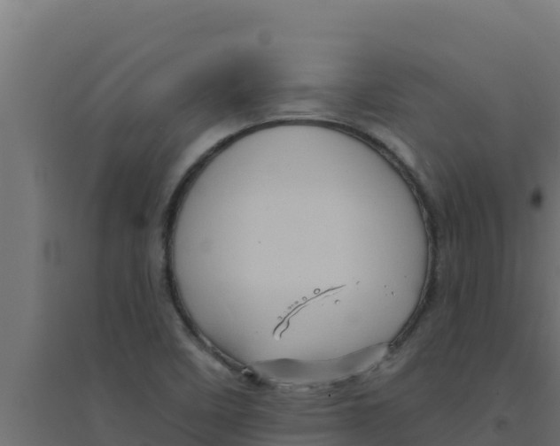 X0000094191458200711241605