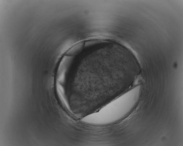 X0000094191459200711241605