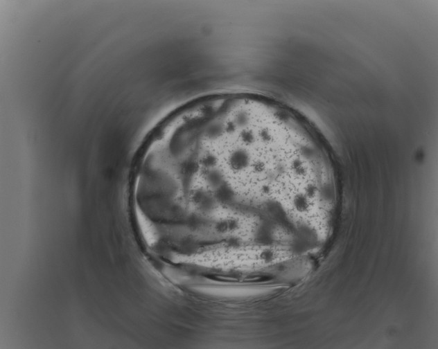 X0000094191460200711241605