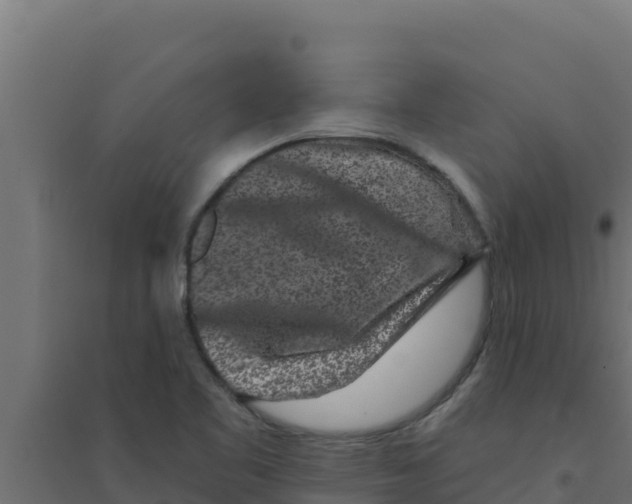 X0000094191461200711241605