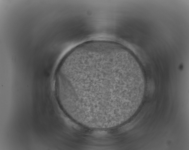 X0000094191462200711241604