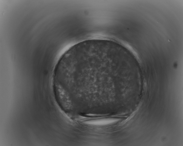 X0000094191463200711241604