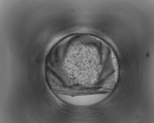 X0000094191464200711241604