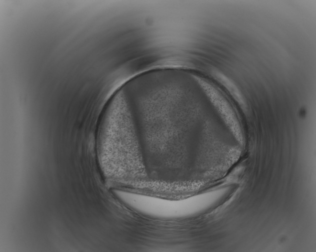 X0000094191465200711241604