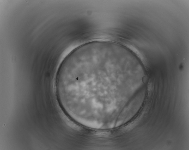 X0000094191466200711241604