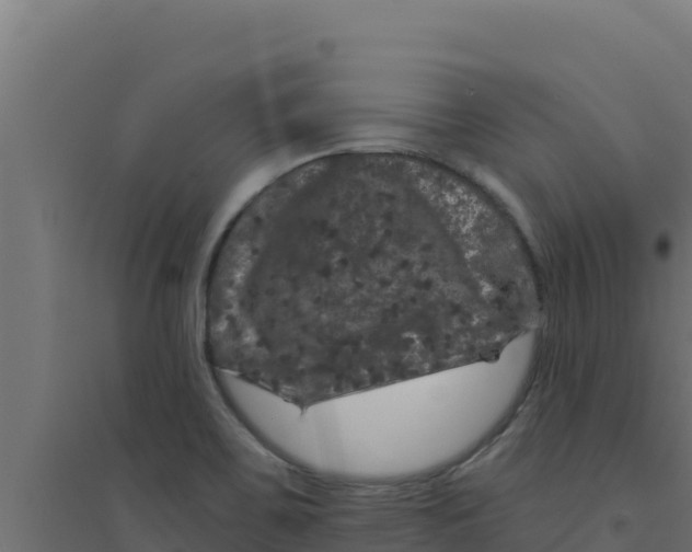 X0000094191467200711241604