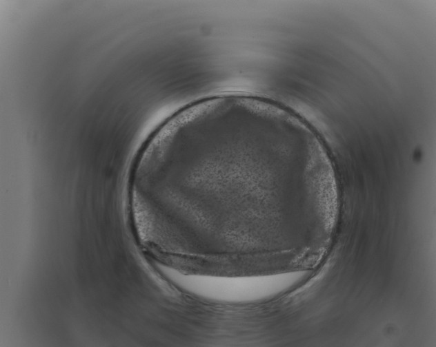 X0000094191469200711241604