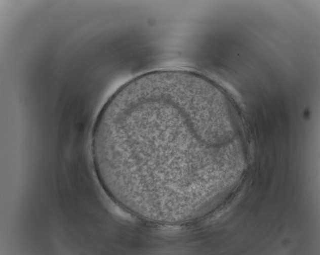 X0000094191470200711241604