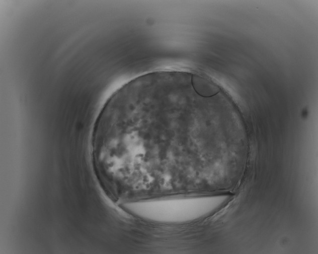 X0000094191471200711241604