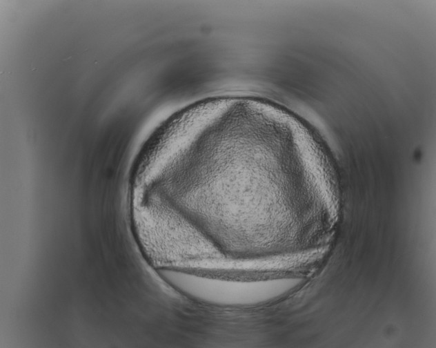 X0000094191472200711241604