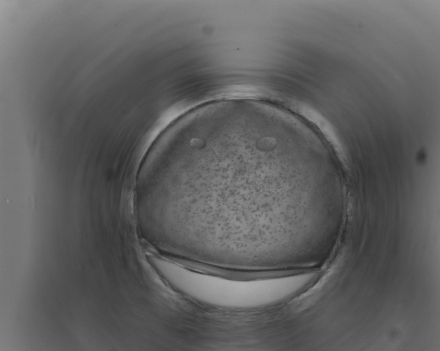 X0000094191473200711241604