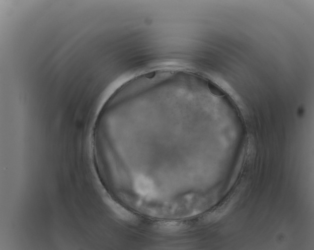 X0000094191474200711241604