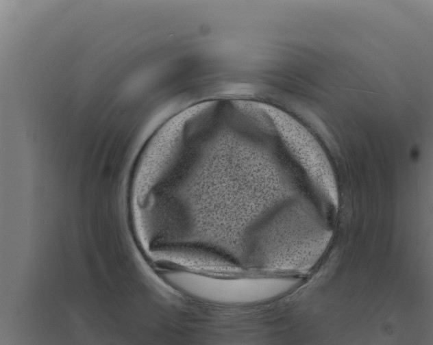 X0000094191475200711241604