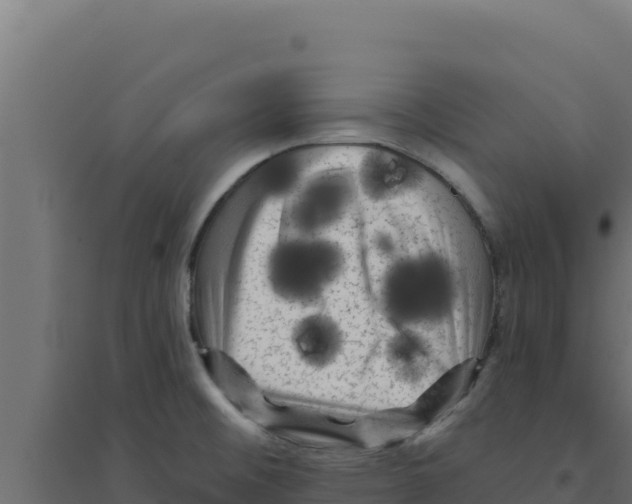 X0000094191476200711241604