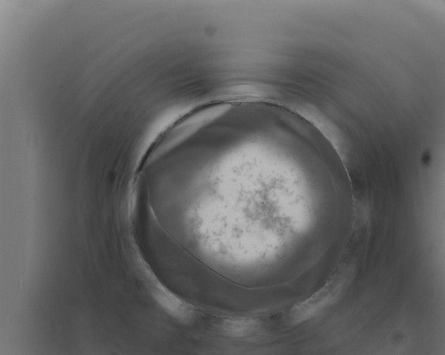 X0000094191477200711241604