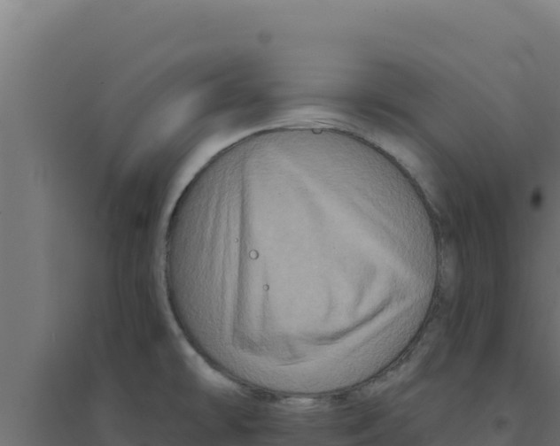 X0000094191478200711241604