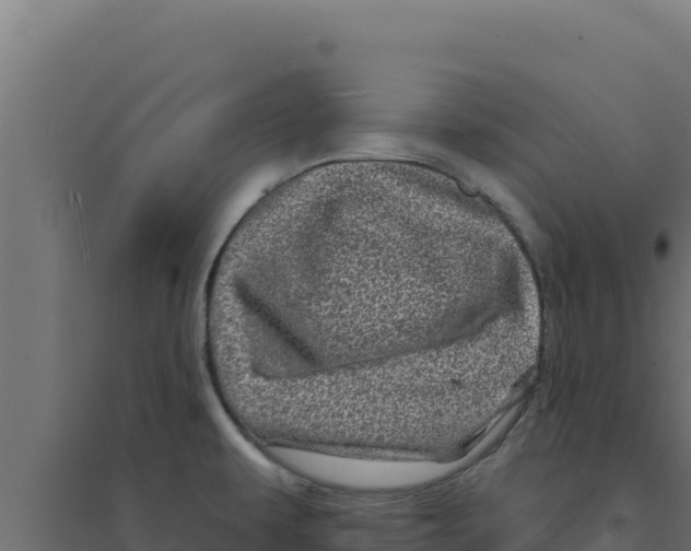 X0000094191479200711241604