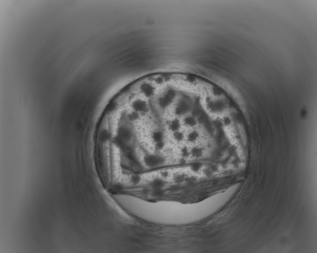 X0000094191480200711241604