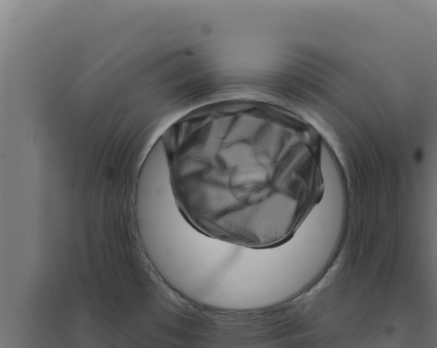 X0000094191481200711241604