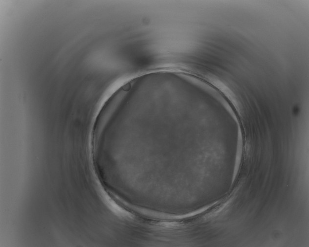 X0000094191482200711241604