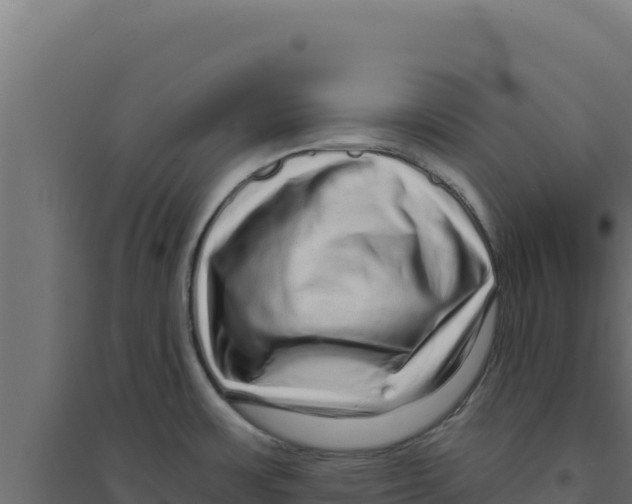 X0000094191483200711241604