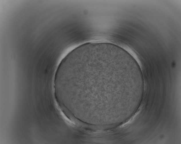 X0000094191485200711241604