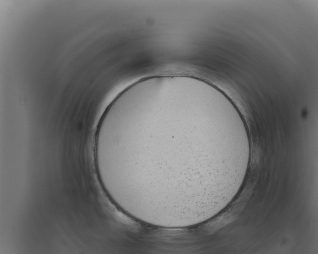 X0000094191486200711241604