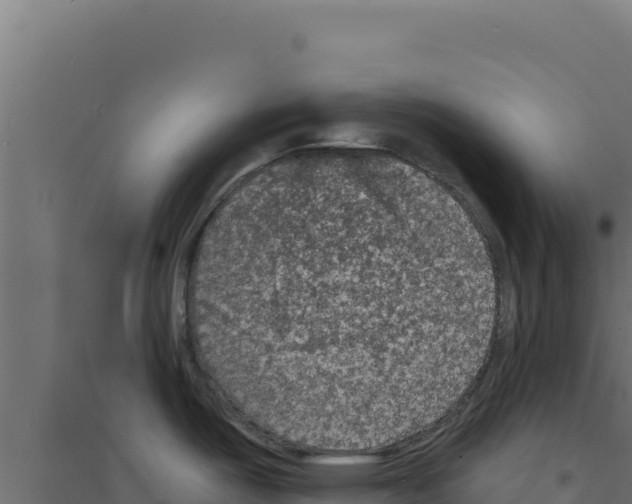 X0000094191487200711241604