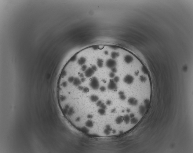 X0000094191488200711241604