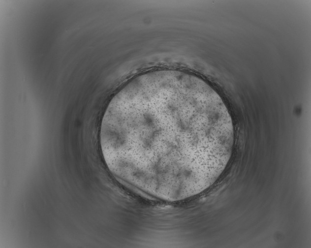 X0000094191489200711241603