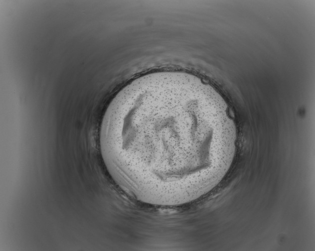 X0000094191490200711241603