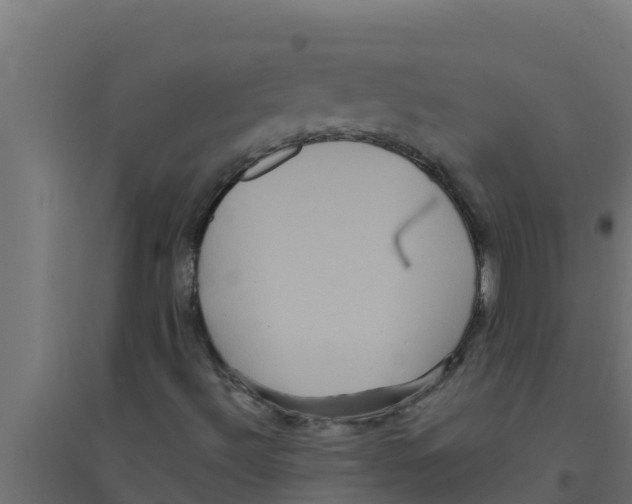 X0000094191492200711241603